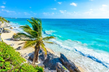Tropik sahil, Quintana Roo, Meksika görünümünü gözlemleyerek.