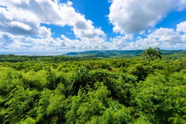 Farley Hill Milli Parkı Barbados Karayip Adası üzerinde.