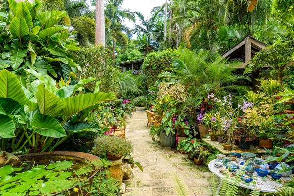 Huntes Botanikus Kertben Karibi Barbados Szigetén Paradicsomi Hely Egy Fehér — Stock Fotó