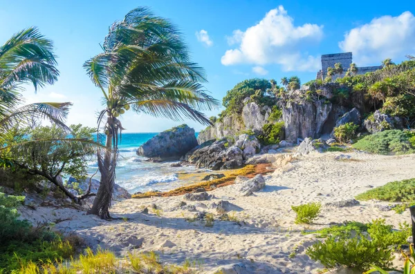 Obserwując Widok Tropikalne Wybrzeże Quintana Roo Meksyk — Zdjęcie stockowe