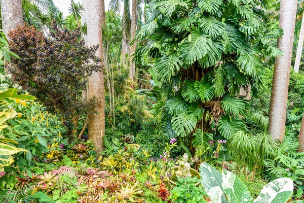 Huntes Botanik Bahçesi, Caribbean ada Barbados.