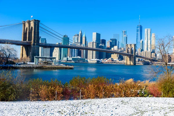 Panoraması Alt Manhattan Downtown Kış Zamanında New York City Amerika — Stok fotoğraf