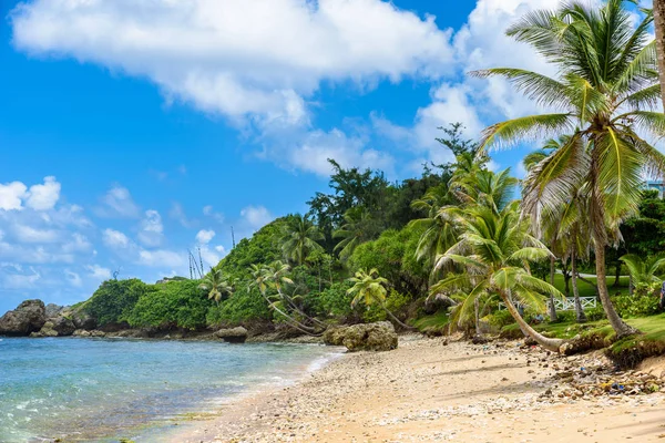 Vista Inferior Playa Betsabé Costa Este Isla Barbados Caribe — Foto de Stock