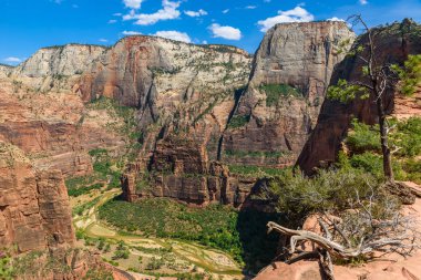 Zion Canyon ve Virgin River görünümünü melekler açılış iz, Zion National Park, Utah, Amerika boyunca