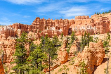 Bryce Canyon Milli Parkı, Utah, Amerika görünümünü gözlemleyerek.