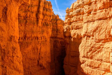 Ayrıntı görünümü Bryce Canyon Milli Parkı, Utah, ABD.