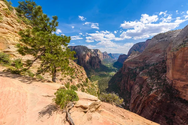 Turistika Angels Landing Trail Zion Canyon Utah Usa — Stock fotografie