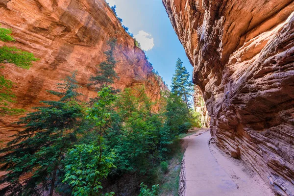 Senderismo Angels Landing Trail Zion Canyon Utah Estados Unidos —  Fotos de Stock