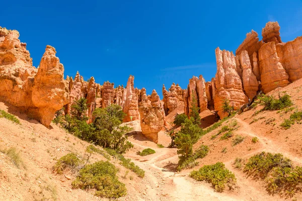 Observação Parque Nacional Bryce Canyon Utah Eua — Fotografia de Stock