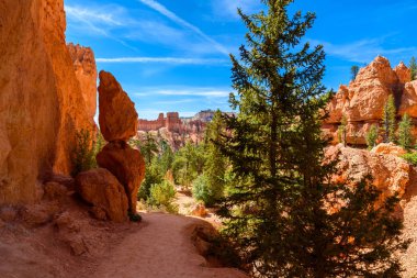 Bryce Canyon Milli Parkı, Utah, Amerika görünümünü gözlemleyerek.