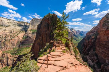 İz, melekler iniş boyunca Ridge yürüyüş Zion National Park içinde Zion Canyon, Utah, ABD'de Hiking.