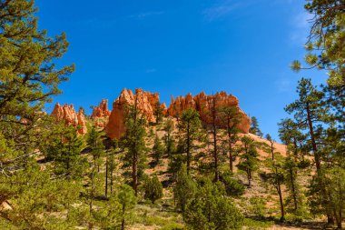 Bryce Canyon Milli Parkı, Utah, Amerika görünümünü gözlemleyerek.