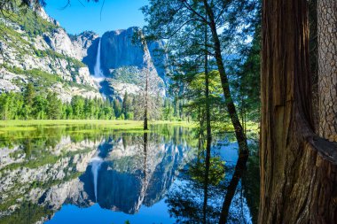 Yosemite National Park - Reflection in Merced River of Yosemite waterfalls and beautiful mountain landscape, California, USA clipart