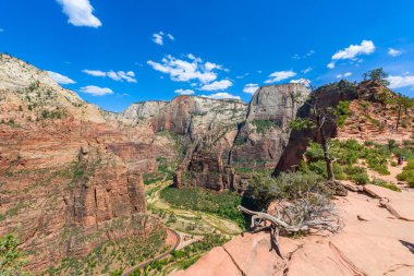 Zion Canyon ve Virgin River görünümünü melekler açılış iz, Zion National Park, Utah, Amerika boyunca