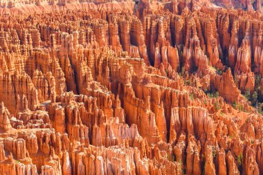 Ayrıntı görünümü kırmızı kumtaşı hoodoos Bryce Canyon Milli Parkı'nda Utah, ABD.