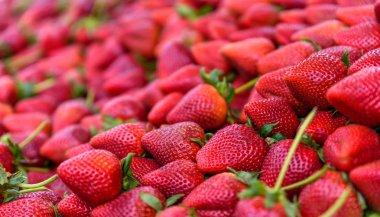 Arka plan taze hasat kırmızı çilek