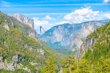 Yosemite Vadisi'nden tünel görünümünde görünüm gelin, El Capitan ve Half Dome, Yosemite Milli Parkı California, ABD.