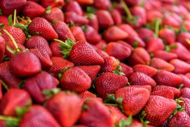 Arka plan taze hasat kırmızı çilek