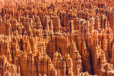 Ayrıntı görünümü kırmızı kumtaşı hoodoos Bryce Canyon Milli Parkı'nda Utah, ABD.