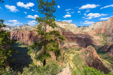 Zion Canyon, Virgin river, melekler açılış iz, Zion National Park, Utah, Amerika ile geniş açı panorama görünümünü.