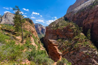 Melekler Açılış iz, Zion Canyon, Utah, Amerika'da yürüyüş.