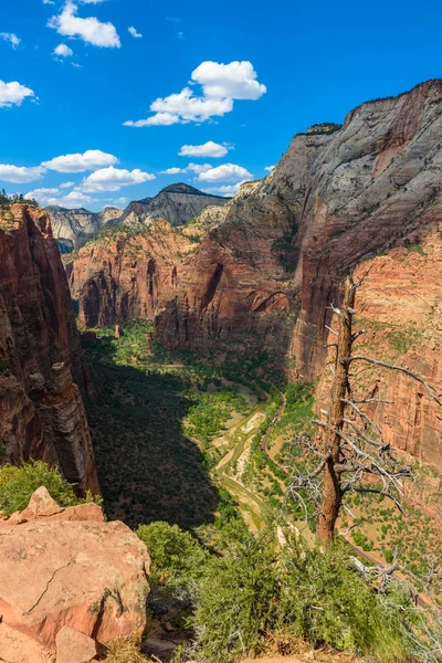 Observing View Virgin River Angels Landing Trail Zion National Park — Stock Photo, Image