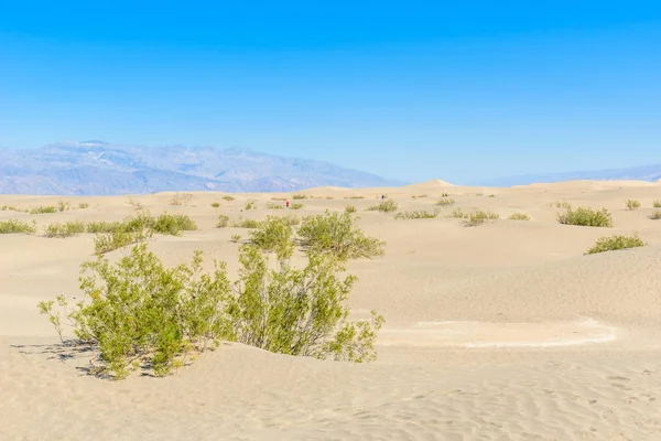 Mesquite Sand Dunes Desert Death Valley California Usa — Stock Photo, Image