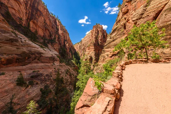 Hiking Angels Landing Trail Zion Canyon Utah Usa — Stock Photo, Image