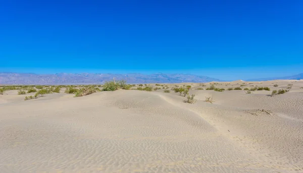 Mesquite Sand Dunes Desert Death Valley California Usa — Stock Photo, Image