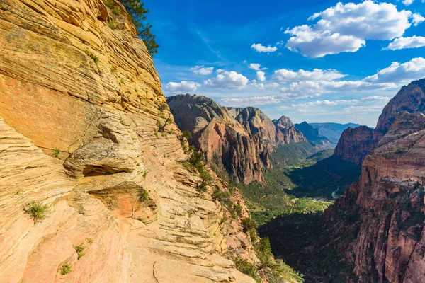 Randonnées Pédestres Angels Landing Trail Zion Canyon Utah États Unis — Photo