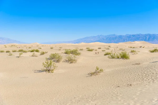 Mesquite Sand Dunes Desert Death Valley California Usa — Stock Photo, Image