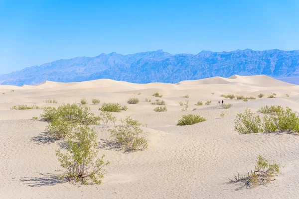 Dunas Areia Esquita Deserto Death Valley Califórnia Eua — Fotografia de Stock