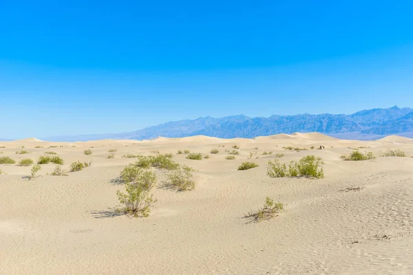 Mesquite Sand Dunes Desert Death Valley California Usa — Stock Photo, Image