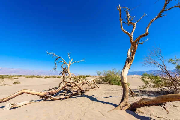 Mesquite Sand Dunes Desert Death Valley California Usa — Stock Photo, Image