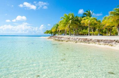 Güney su Caye - Barrier Reef ile Cennet plaj, Karayip Denizi, Belize, Orta Amerika, küçük tropik ada.