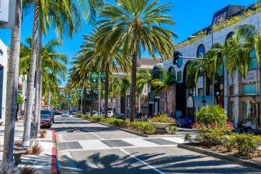 Palmiye ağaçları ve binalar ile Caddesi'nin gündüz görünümü 