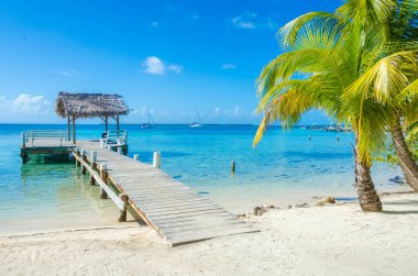 Güney su Caye - Barrier Reef ile Cennet plaj, Karayip Denizi, Belize, Orta Amerika, küçük tropik ada.