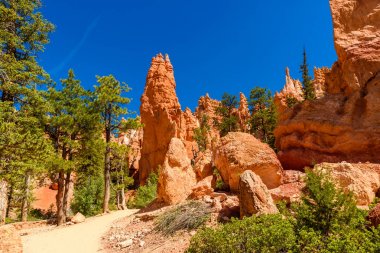 Bryce Canyon Milli Parkı - Queens Garden iz ve Najavo döngü intocanyon, Utah, ABD Hiking.