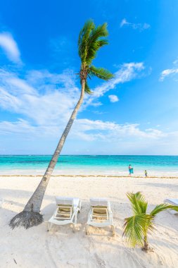Güneş şezlong Akumal Beach, Quintana Roo, Meksika.