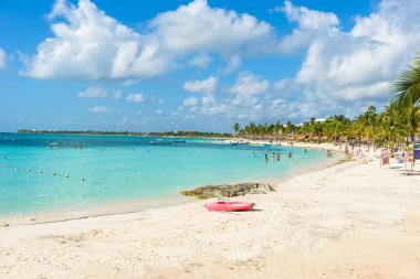 Cennet Turtle Beach adlı Akumal, Quintana Roo, Meksika.