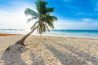 Playa Paraiso beach adlı gündoğumu, Tulum, Meksika.