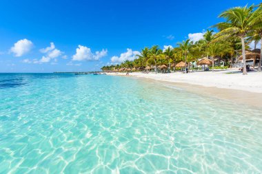 Cennet Turtle Beach adlı Akumal, Quintana Roo, Meksika.