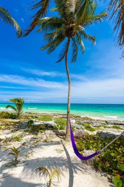 Hamak Pod Palmami Plaży Paradise Quintana Roo Meksyk — Zdjęcie stockowe
