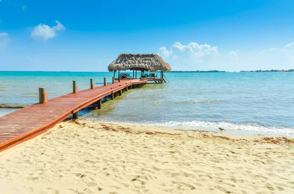 Paradise Beach Placencia Tropical Coast Belize Caribbean Sea Central America — Stock Photo, Image