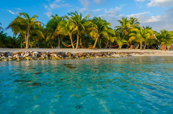 South Water Caye Petite Île Tropicale Barrier Reef Avec Plage — Photo