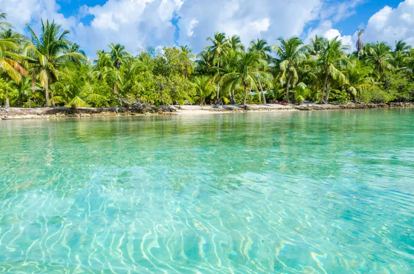 Belize Cayes Tropische Eilandje Barrier Reef Met Paradijs Strand Caribische — Stockfoto