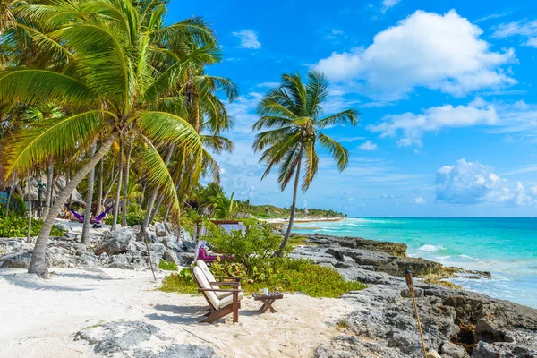 Krzesła Pod Palmami Plaży Paradise Tropical Resort Quintana Roo Meksyk — Zdjęcie stockowe