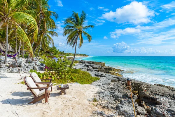 Krzesła Pod Palmami Plaży Paradise Tropical Resort Quintana Roo Meksyk — Zdjęcie stockowe