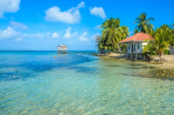 たばこ Caye パラダイス ビーチ カリブ海 ベリーズ 中央アメリカの堡礁の小さな熱帯の島のバンガロー — ストック写真