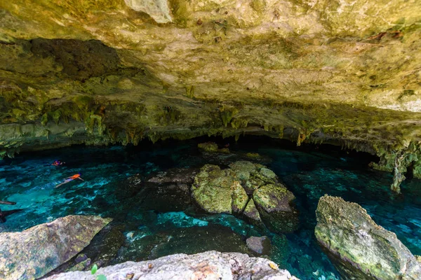 Cenote Dos Ojos Quintana Roo Meksyk Ludzie Pływania Nurkowania Czystej — Zdjęcie stockowe